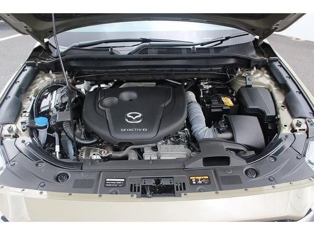 23dd7b7d0570bf612f529f904749c968.jpg