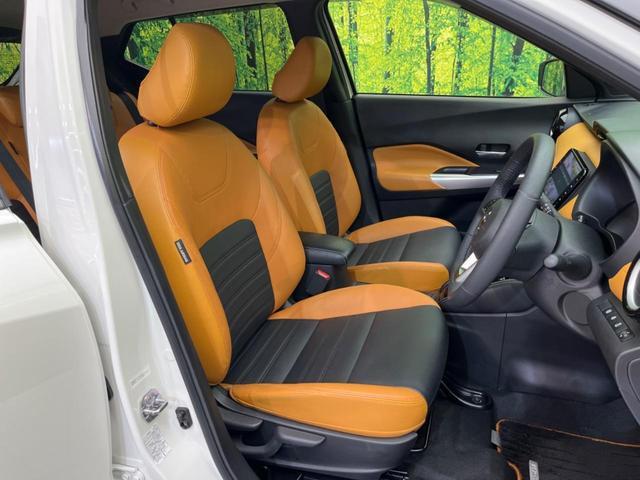 22448772_carP_l_17.jpg