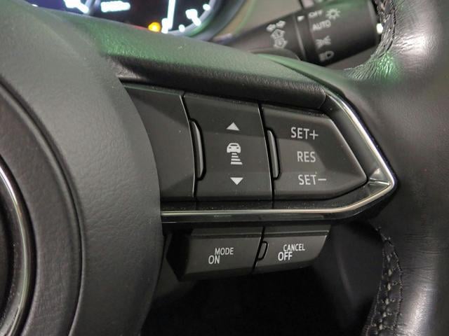 0206157A30250821W00512.jpg
