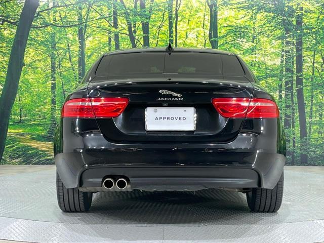 21690097_carP_l_16.jpg