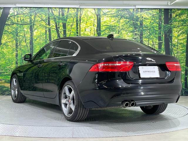 21690097_carP_l_18.jpg