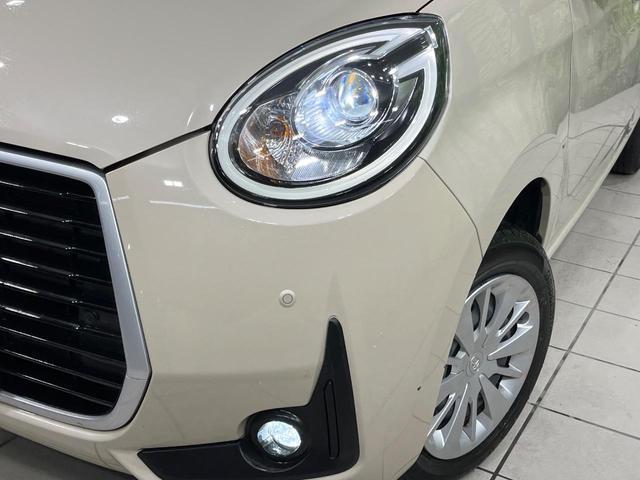21095958_carP_l_7.jpg