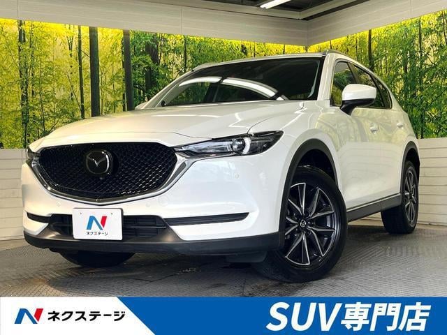 19084220_carP_l_1.jpg