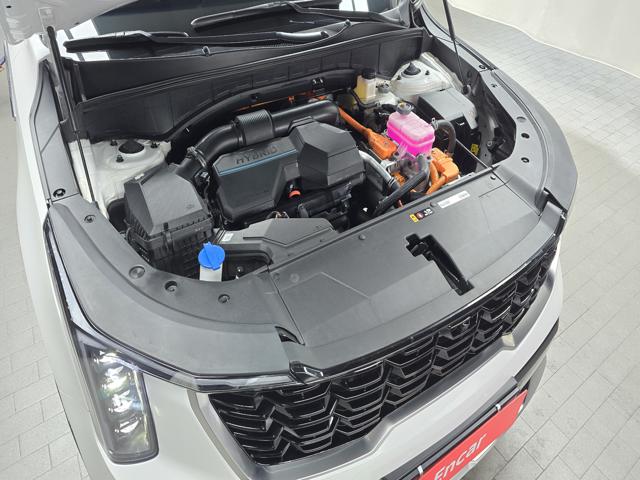d9d294449f506ef43506ed0d425450a5.jpeg