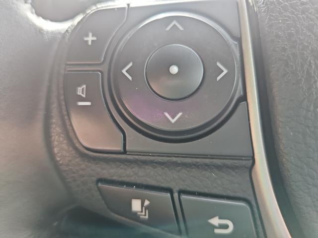 1101252A30240916W00102.jpg