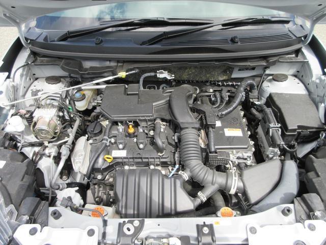 19770688_carP_l_12.jpg