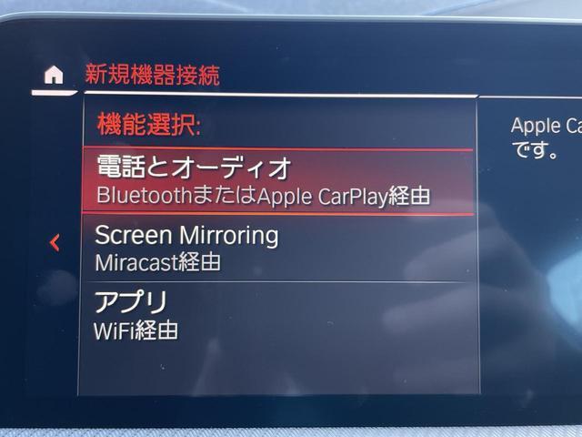 22329226_carP_l_13.jpg