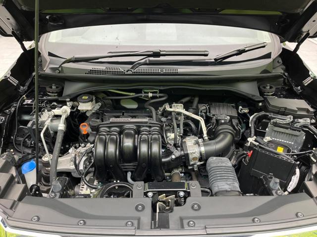 19817874_carP_l_16.jpg