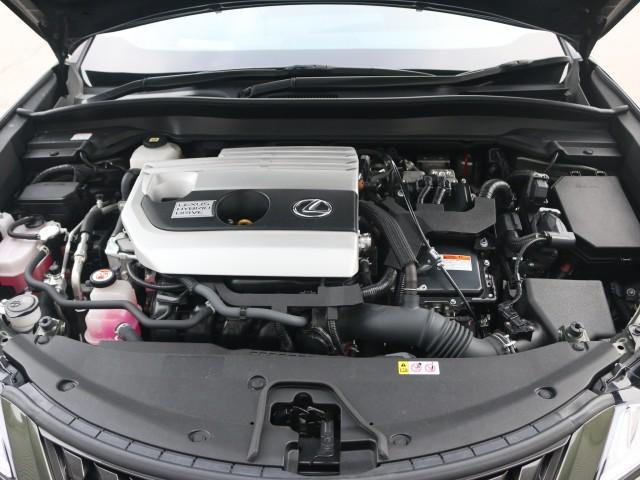 22764737_carP_l_17.jpg