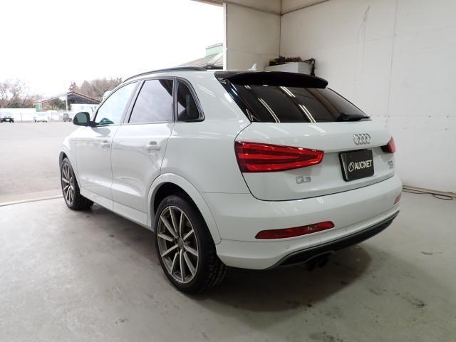 22052030_carP_l_3.jpg
