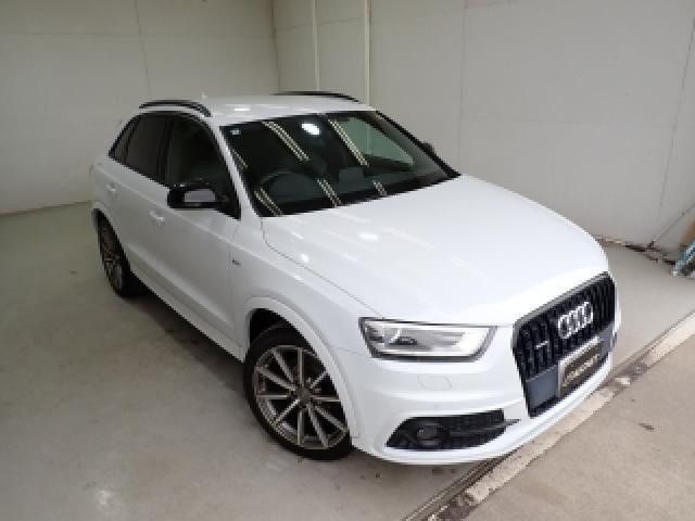 22052030_carP_l_1.jpg