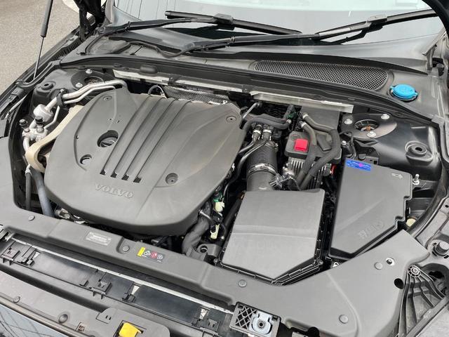 23207843_carP_l_20.jpg