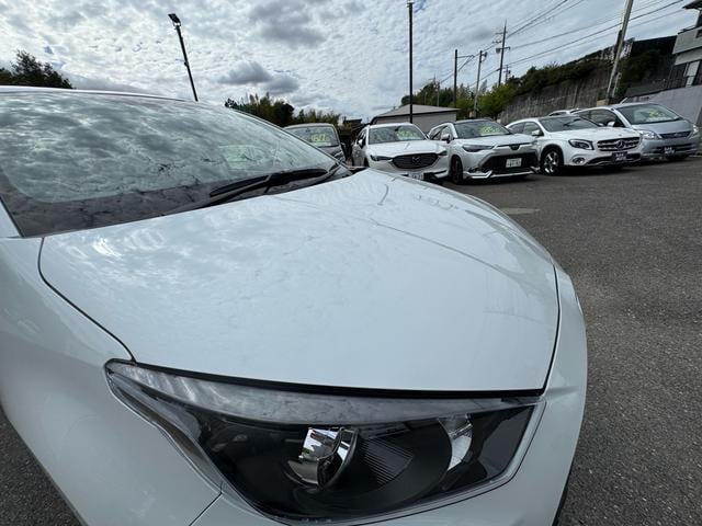 0709218A30251019W00114.jpg