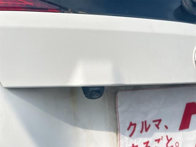 17902822_carP_l_16.jpg