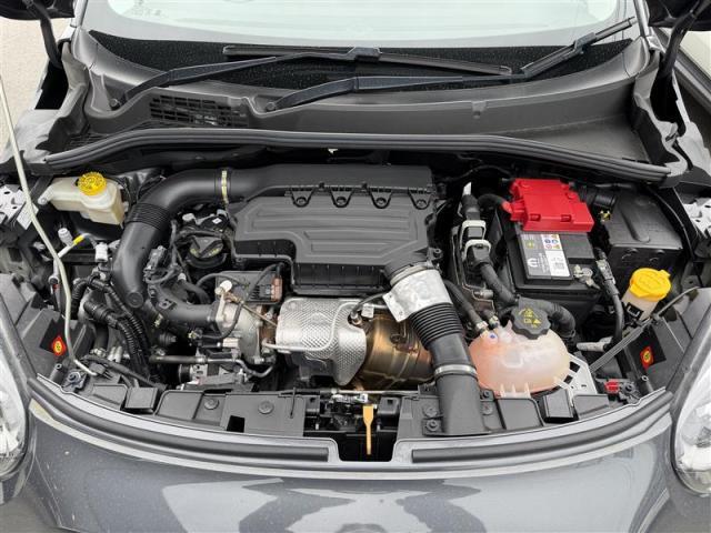 23207992_carP_l_19.jpg