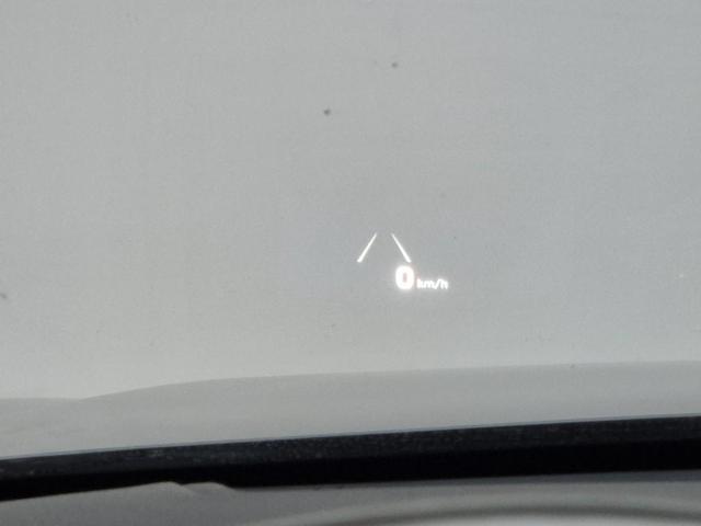 5101000781R17.jpg