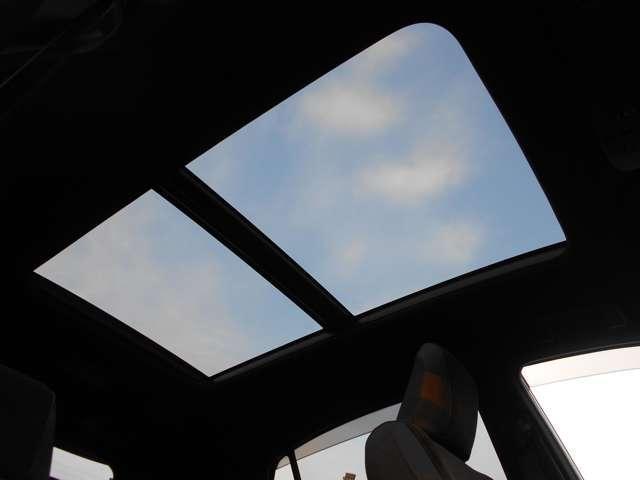 21870910_carP_l_19.jpg