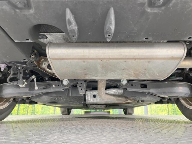 22505823_carP_l_20.jpg