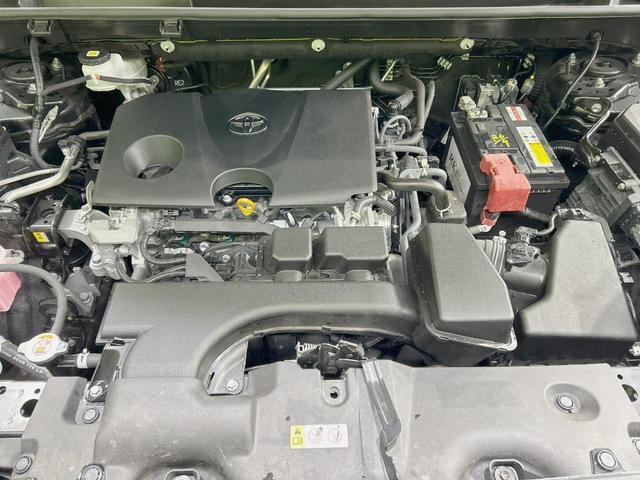 21984750_carP_l_16.jpg