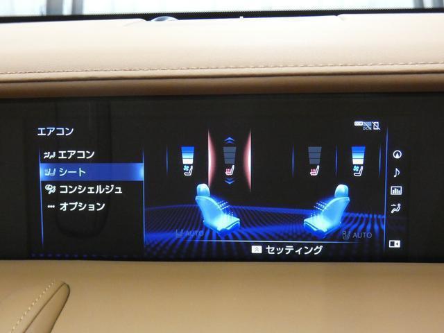 23053328_carP_l_8.jpg