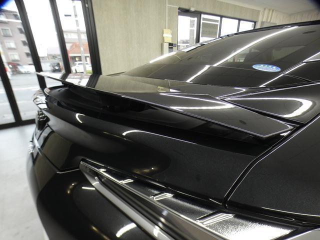 23053328_carP_l_9.jpg