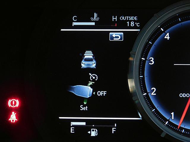 21620046_carP_l_19.jpg