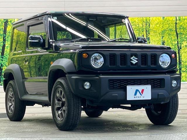 23053840_carP_l_11.jpg