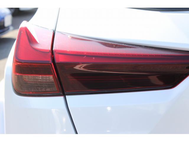 22713310_carP_l_16.jpg