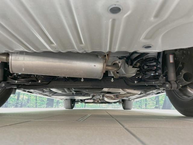 18816948_carP_l_20.jpg