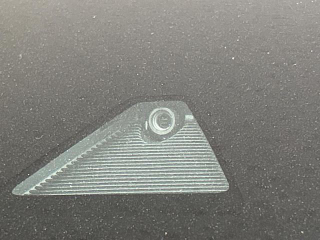 20573347_carP_l_14.jpg