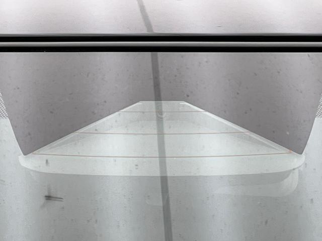 20991950_carP_l_4.jpg