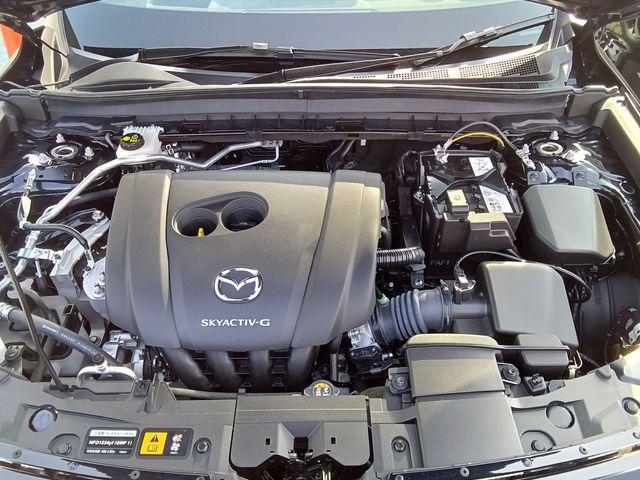 408ef6645cc18bbc1556e64406138bca.jpg