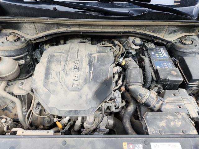 lotterental_14135564_mHiSO_6.jpg
