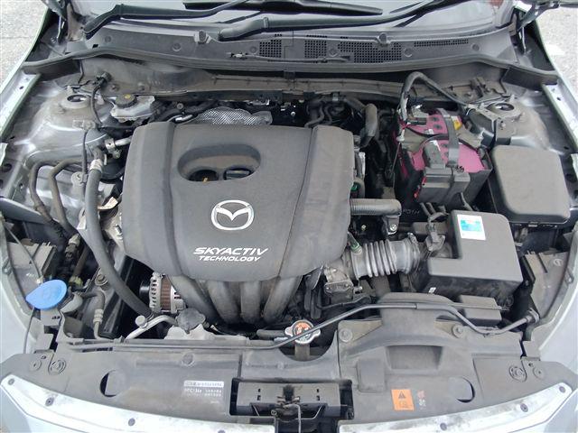 08.jpg