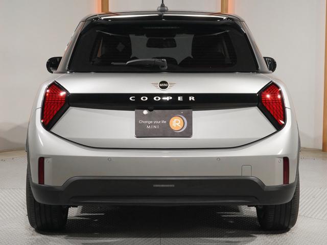 21342834_carP_l_2.jpg