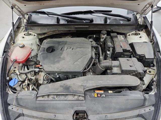 lotterental_213630663_fPL6L_10.jpg
