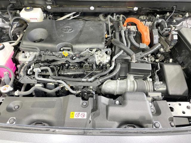 21237156_carP_l_16.jpg