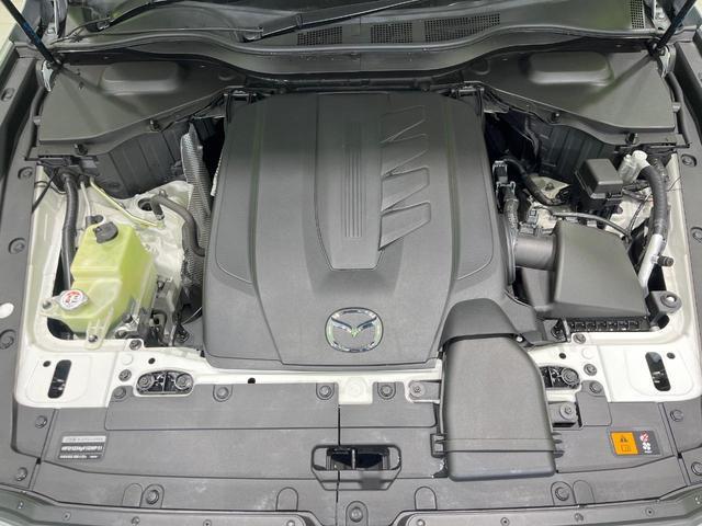 21201293_carP_l_16.jpg
