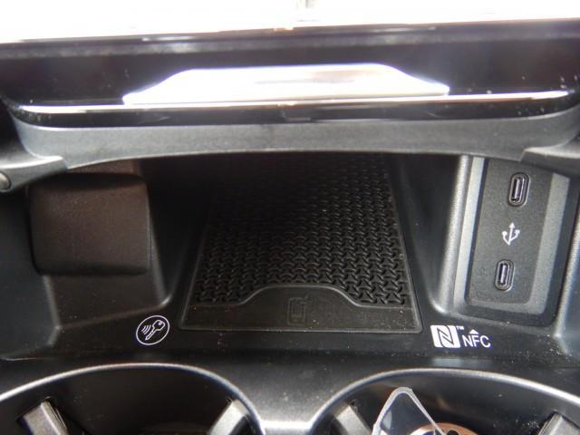 22720813_carP_l_12.jpg