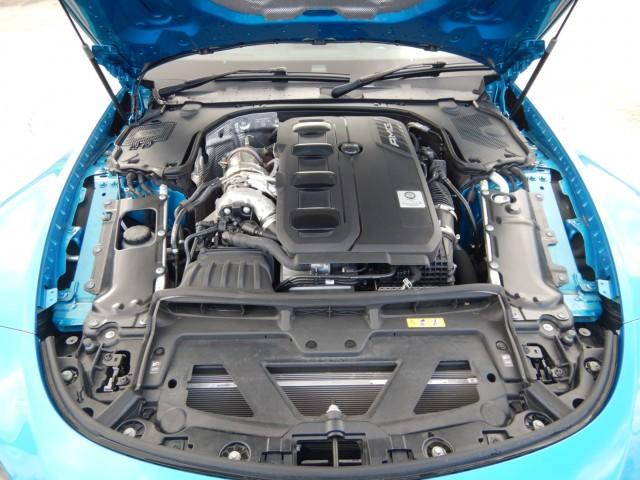 22720813_carP_l_17.jpg