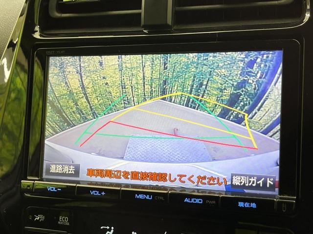 20991193_carP_l_10.jpg