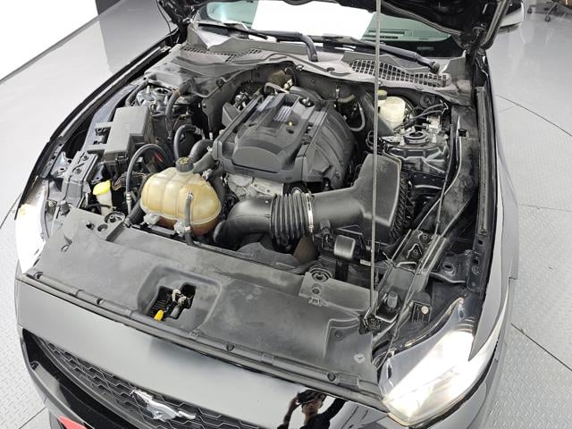 7210134ccbf47a843f187aecdadb5fcb.jpeg