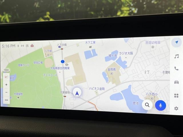 19833690_carP_l_4.jpg
