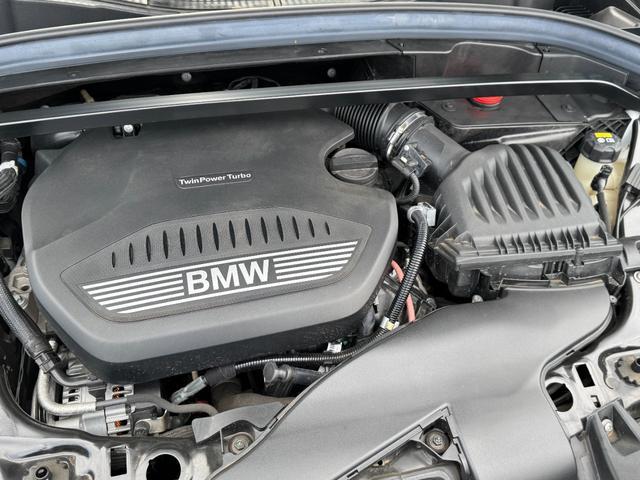 23008364_carP_l_17.jpg