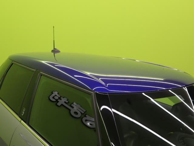 13285878_carP_l_9.jpg