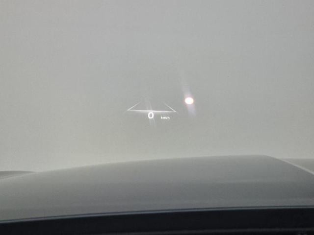 5041001350R17.jpg