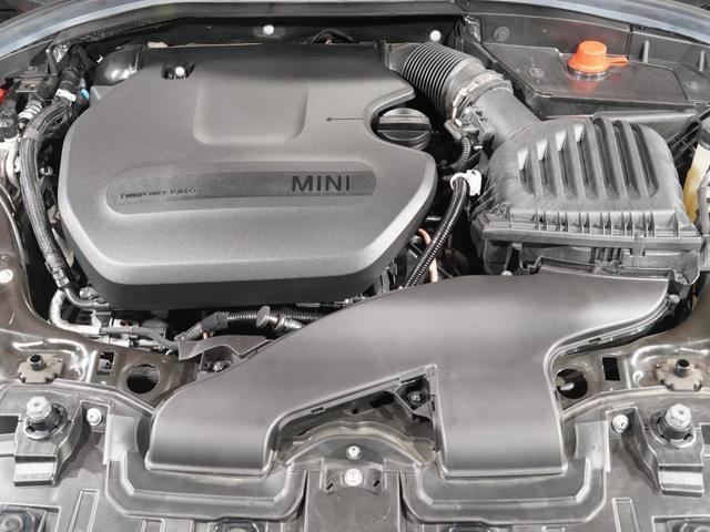 21891075_carP_l_14.jpg