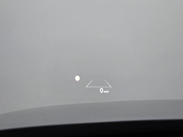 d6342a2737cbdd406e44f6df95d9599e.jpeg