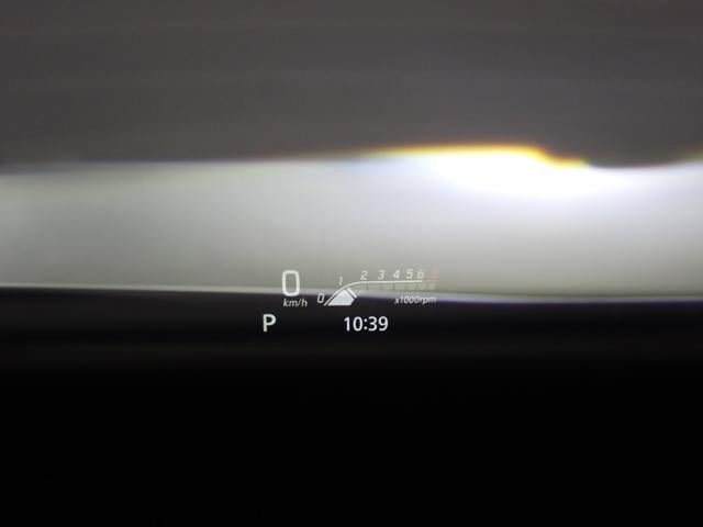 0205776A30250108W00113.jpg