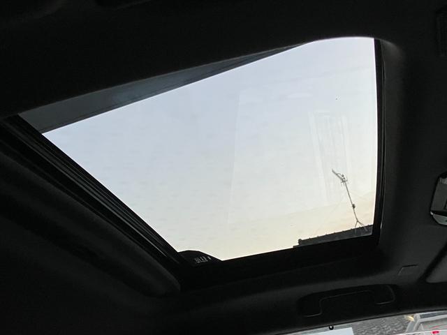 1020099A30251201W00206.jpg